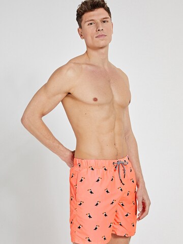 Shorts de bain Shiwi en orange : devant