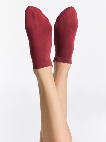Albero Natur Socks 'Bio-Baumwoll-Sneakersocken Unisex - 2er Pack' in Red