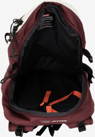 JACK WOLFSKIN Sports Backpack 'Alpspitze' in Red
