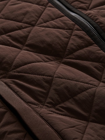 Veste d’hiver TOM TAILOR en marron