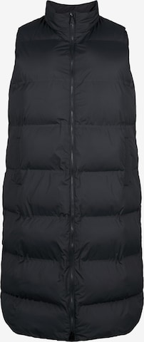 juoda Zizzi Liemenė: priekis