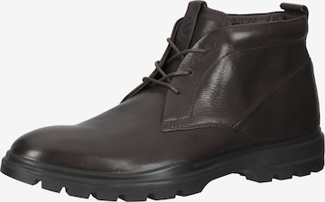 ECCO Chukka Boots in Brown: front