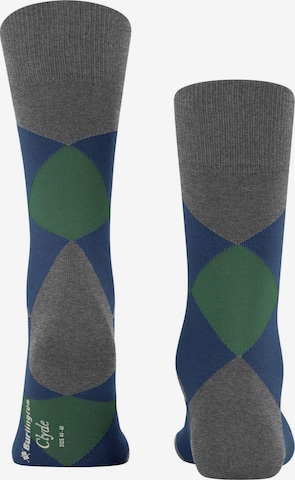 BURLINGTON Socks in Grey