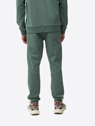 Regular Pantalon 4F en vert