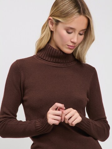 Influencer Sweater in Brown