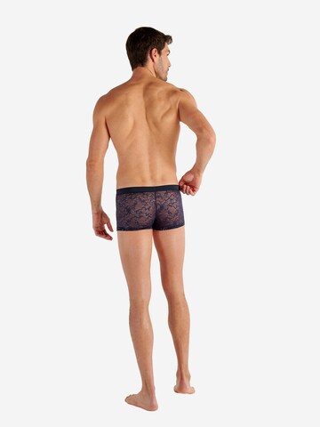 HOM Trunk ' Purple ' in Blau