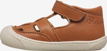 NATURINO Offene Schuhe 'WAD' in Beige: Vorderseite