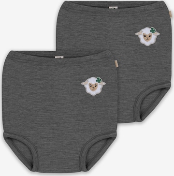 normani Underpants 'Tokoroa' in Grey: front