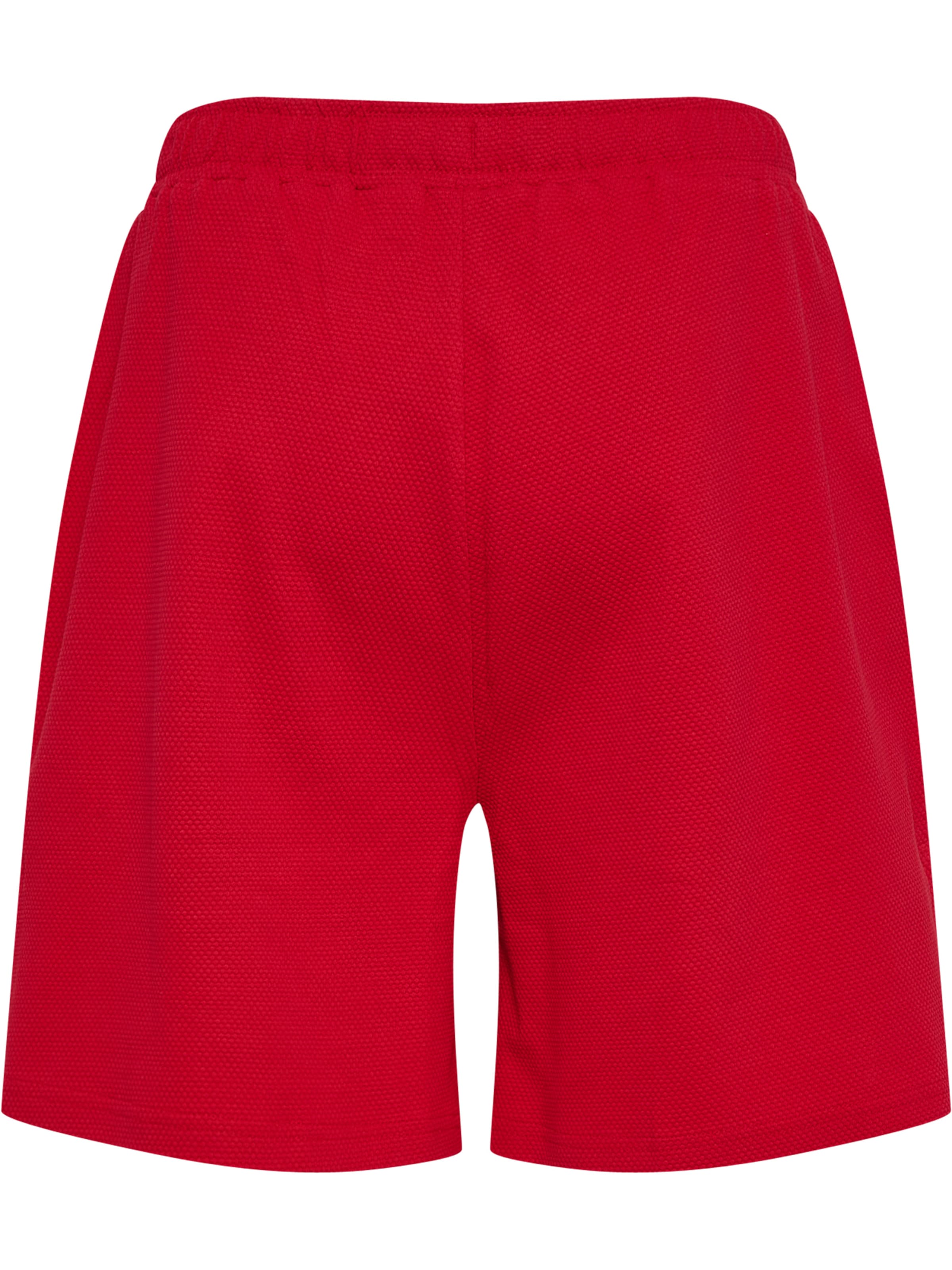 Hummel Regular Sports trousers 'DBU 26' in Red