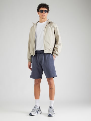 Pegadorregular Hlače - plava boja