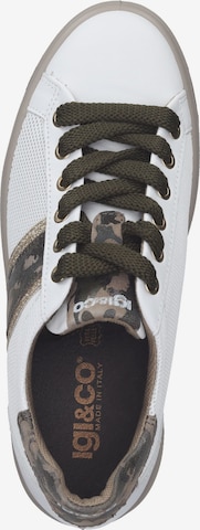 IGI&CO Sneakers laag in Wit