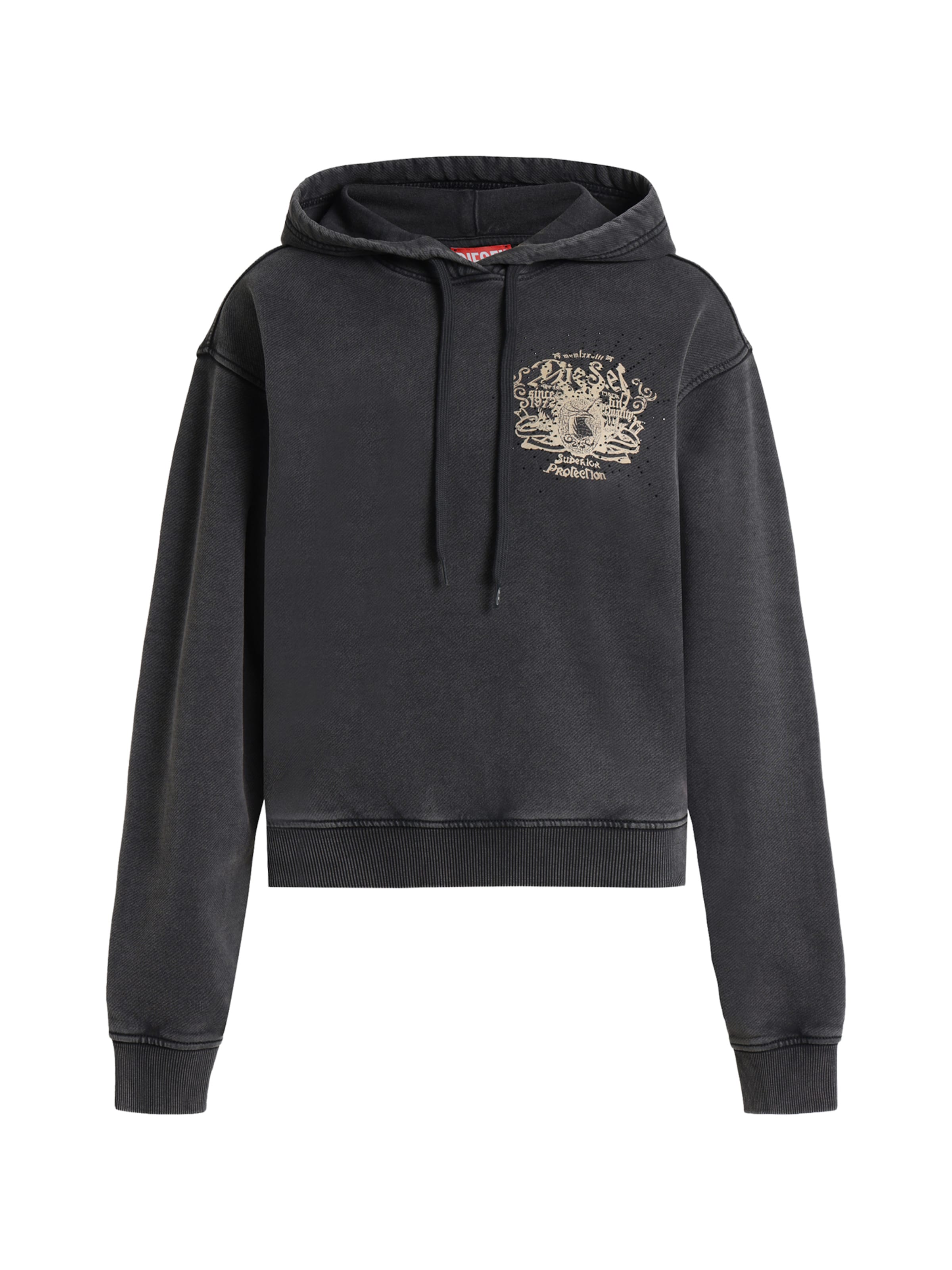 Sweat-shirt 'F-PHOENY' DIESEL en noir : devant