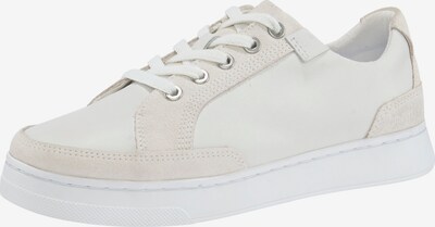 TIMBERLAND Sneakers laag in de kleur Beige / Nude, Productweergave