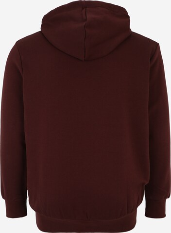 Jack & Jones Plus Sweatshirt 'BLU ARCHIE' i brun