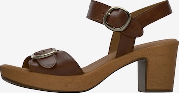 ruda GABOR Basutės su dirželiais: priekis