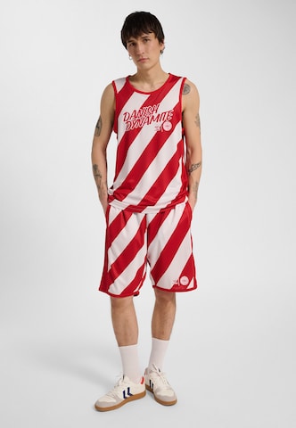 Hummel Jersey 'DBU 26' in Red