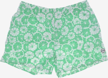 CMP Shorts in 34 in Green: front
