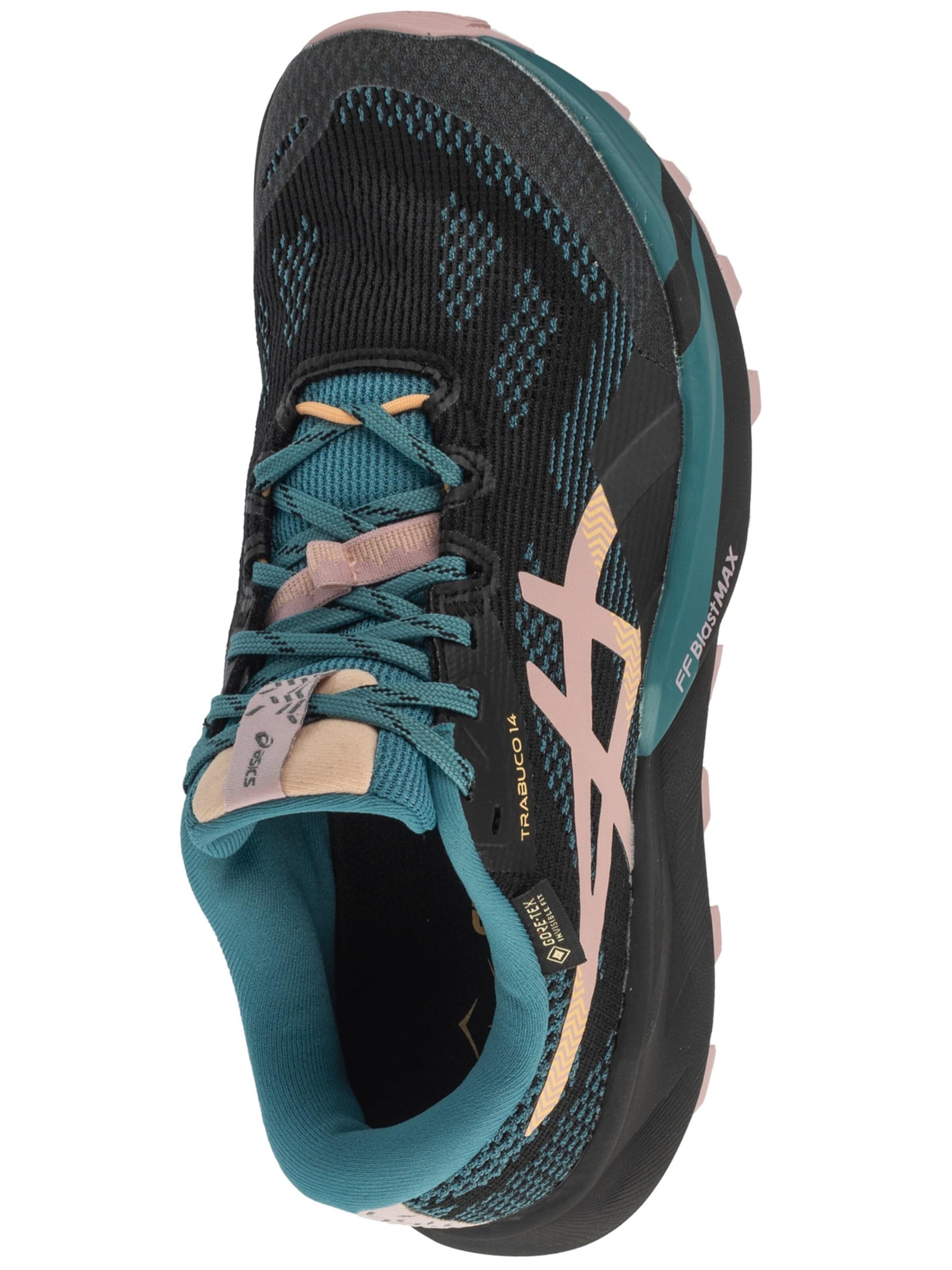 ASICS Running shoe 'Gel-Trabuco 14 GTX' in Black