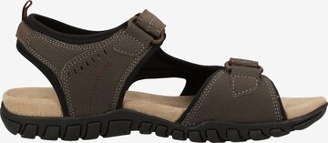 GEOX Hiking Sandals 'Mito' in Brown