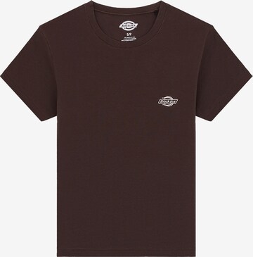 T-shirt 'GLADEVILLE ' DICKIES en marron : devant