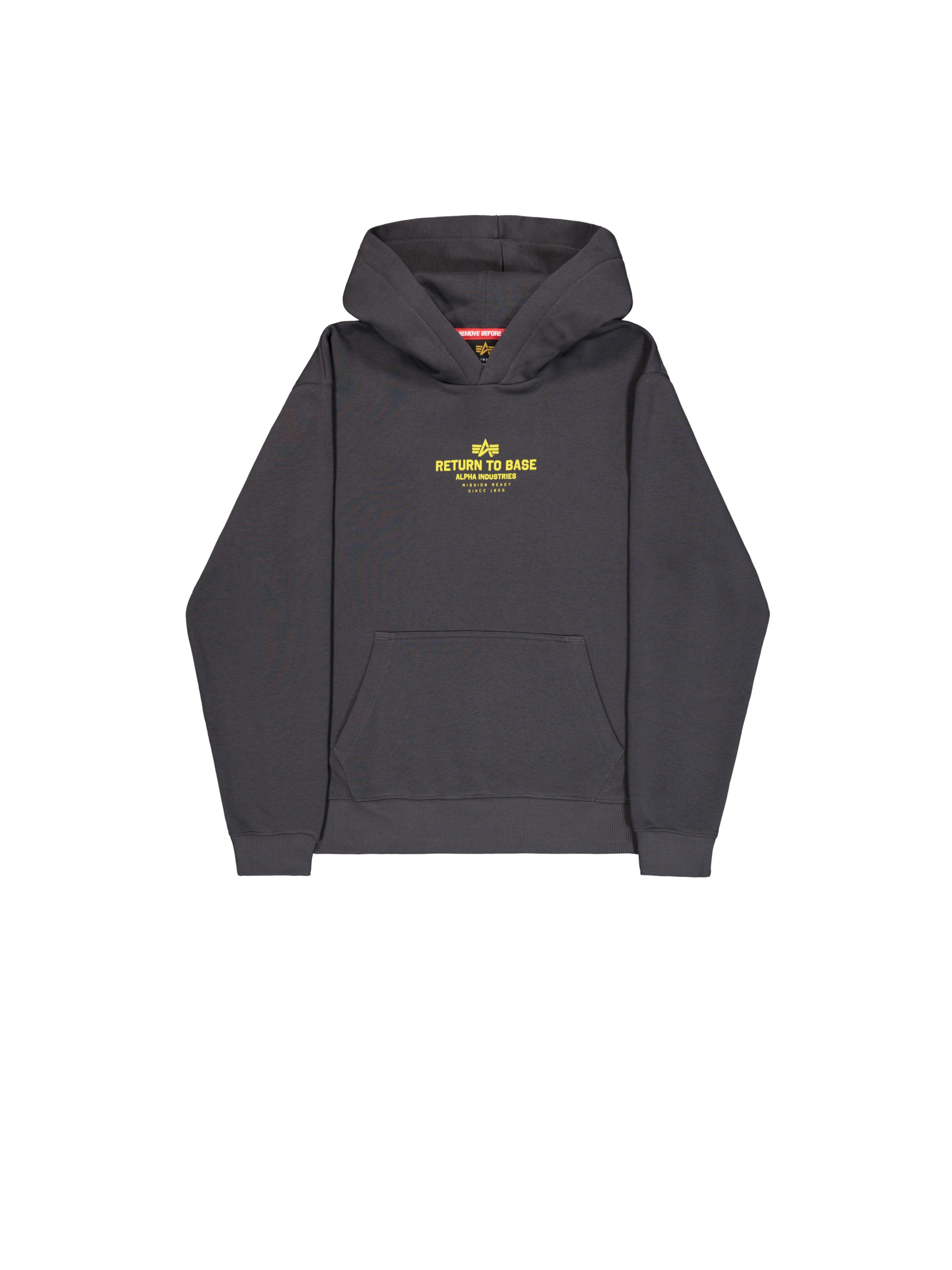 Sweat-shirt 'Return To Base' ALPHA INDUSTRIES en gris : devant