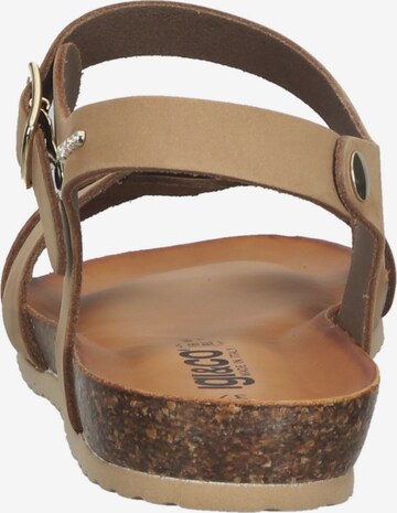 IGI&CO Sandals in Brown