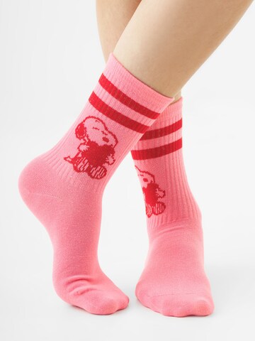 CODELLO Socks in Mixed colors