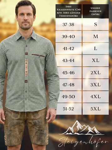 Steigenhöfer Regular fit Button Up Shirt 'Leopold' in Green