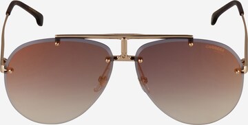Carrera Sunglasses '1032/S' in Brown