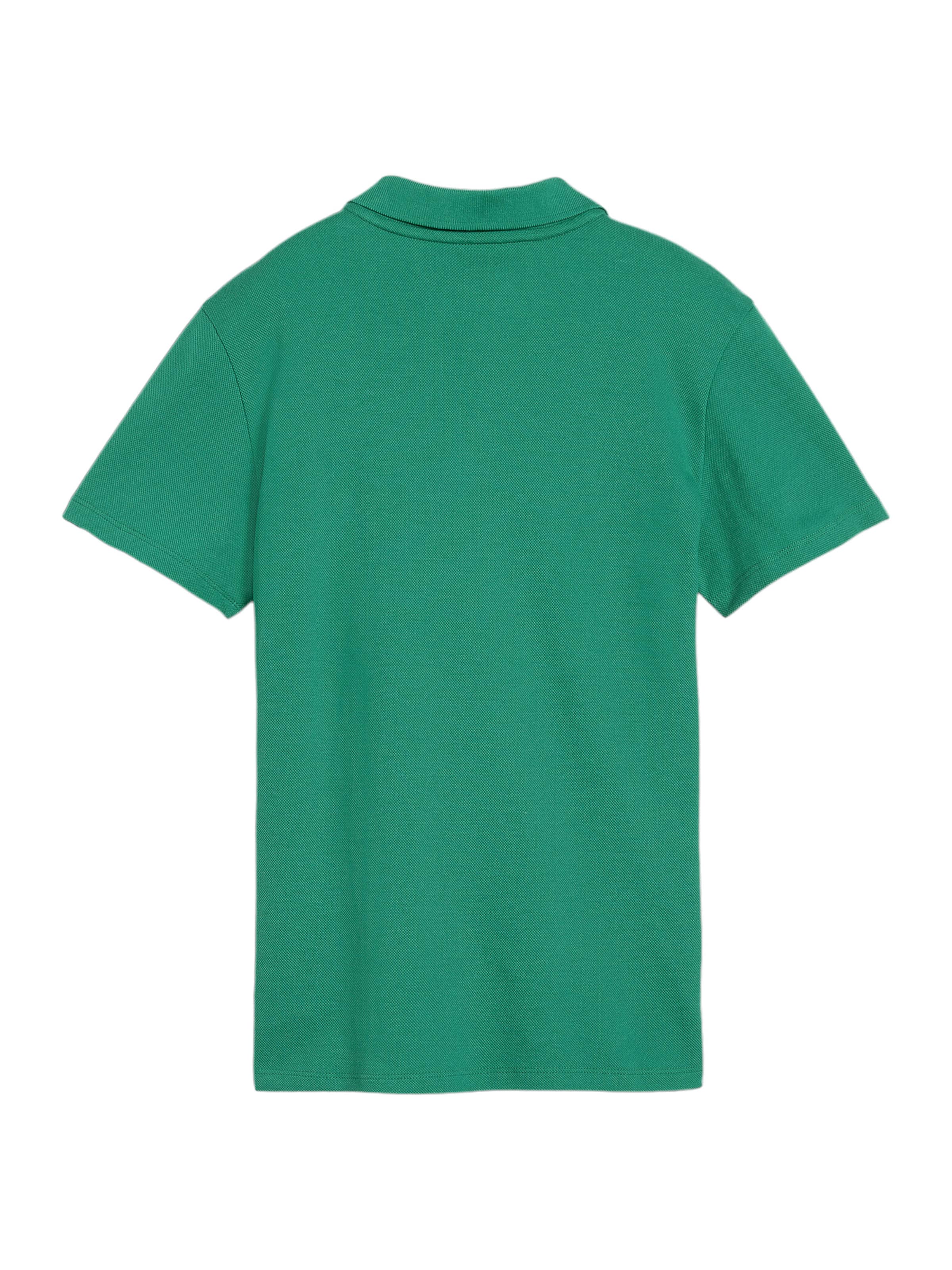 PUMA Performance Shirt 'TeamGoal' in Green