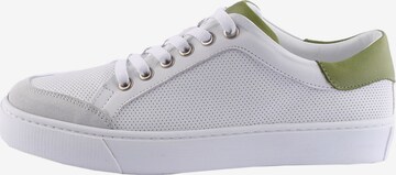 D.MoRo Shoes Sneakers 'Yufzebi' in White