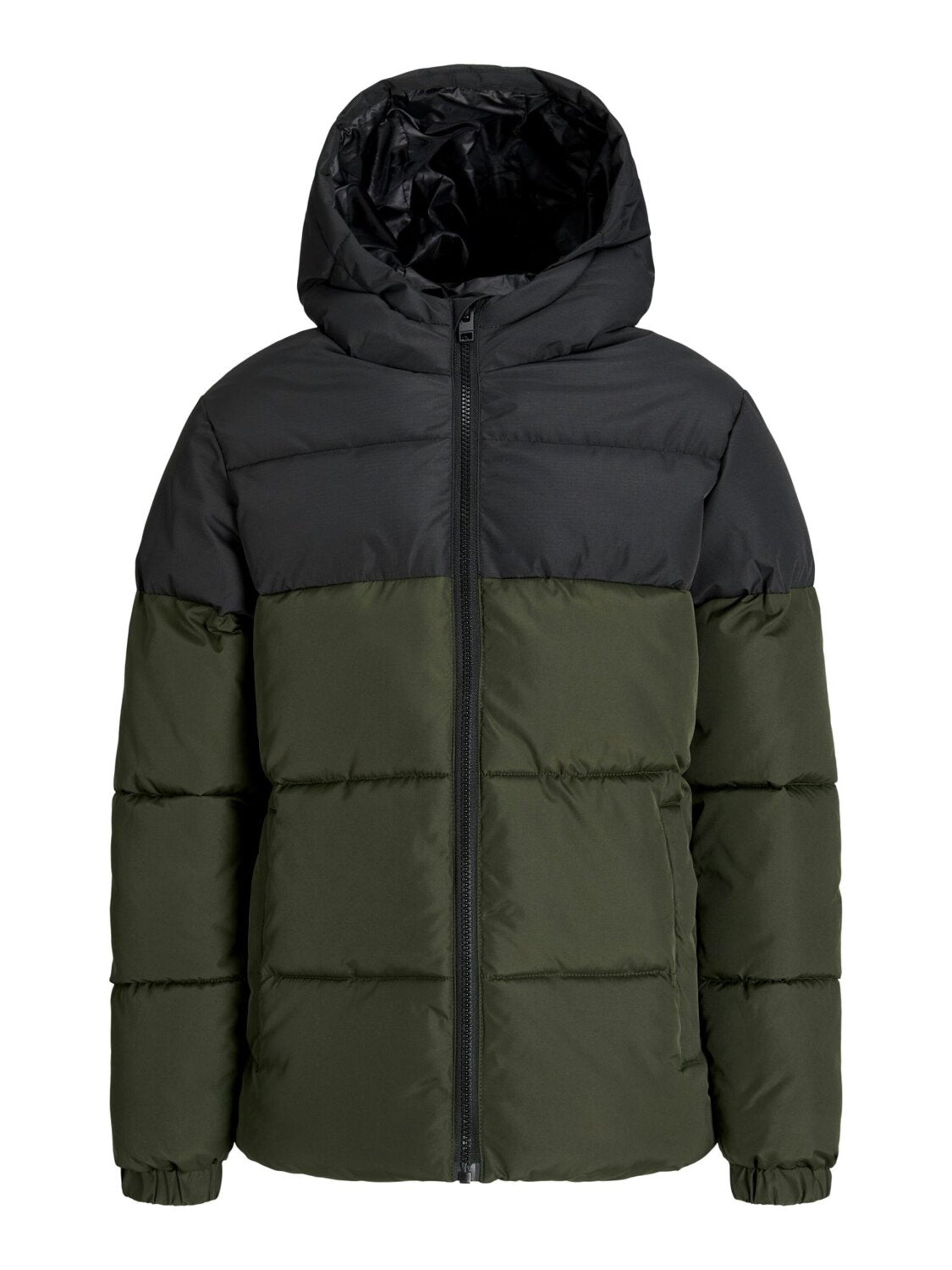 Giacca invernale 'JJMAZE' di JACK & JONES in verde: frontale