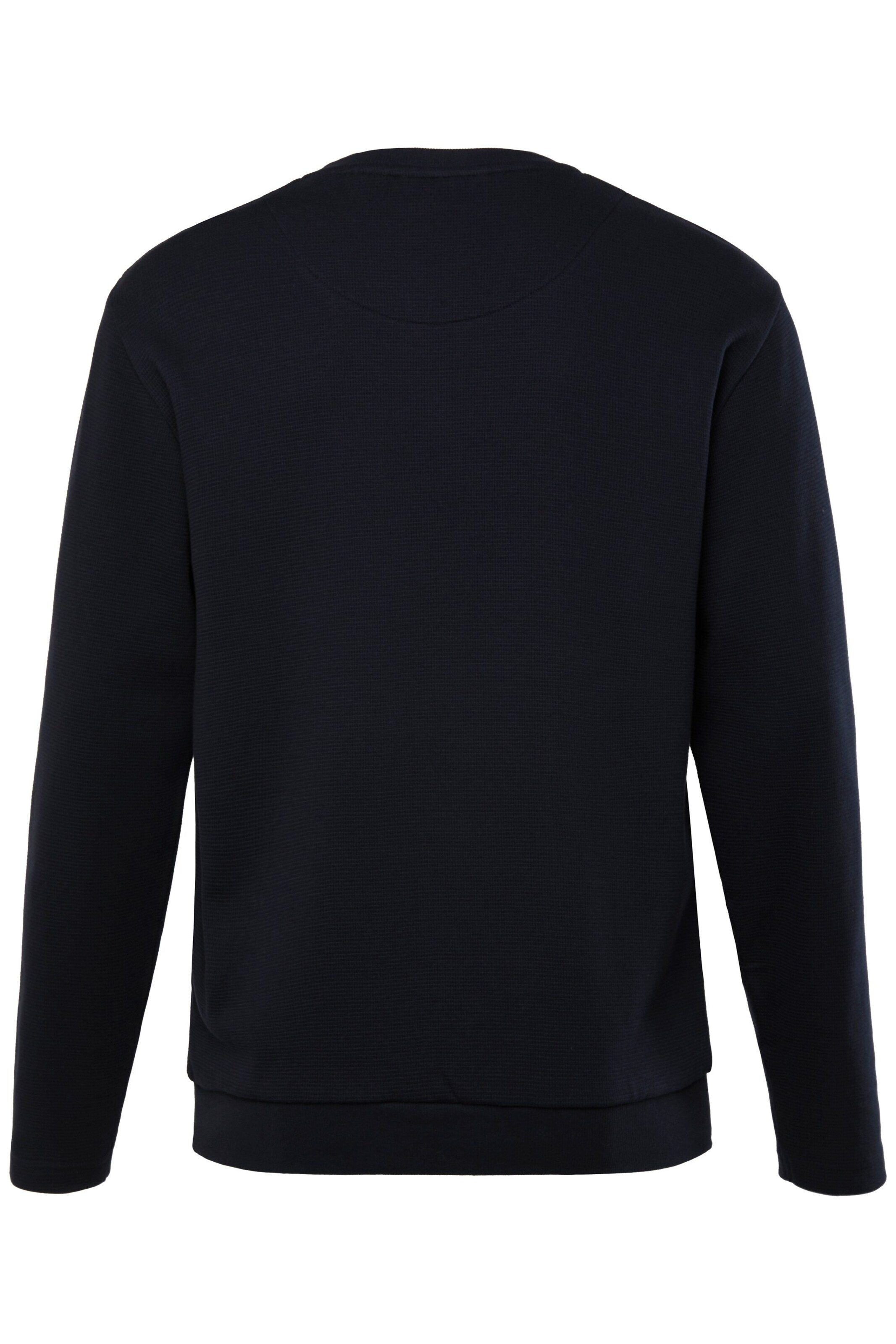 Men Plus Shirt in Blue