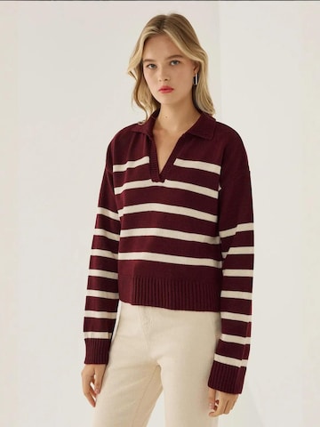 Hiccup Kampsun 'Pullover', värv punane