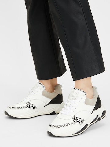 BULLBOXER Sneakers in White: front