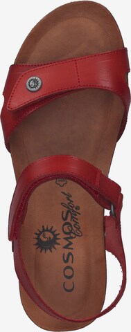 COSMOS COMFORT Sandalen met riem in Rood