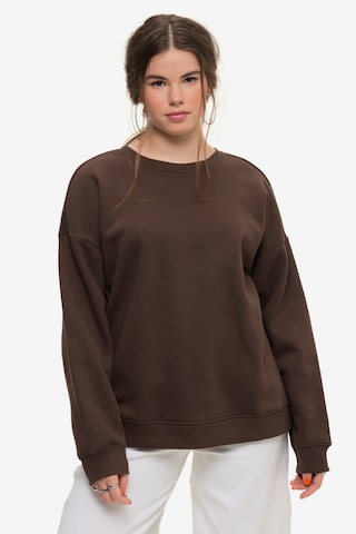 Studio Untold Sweatshirt in Brown: front