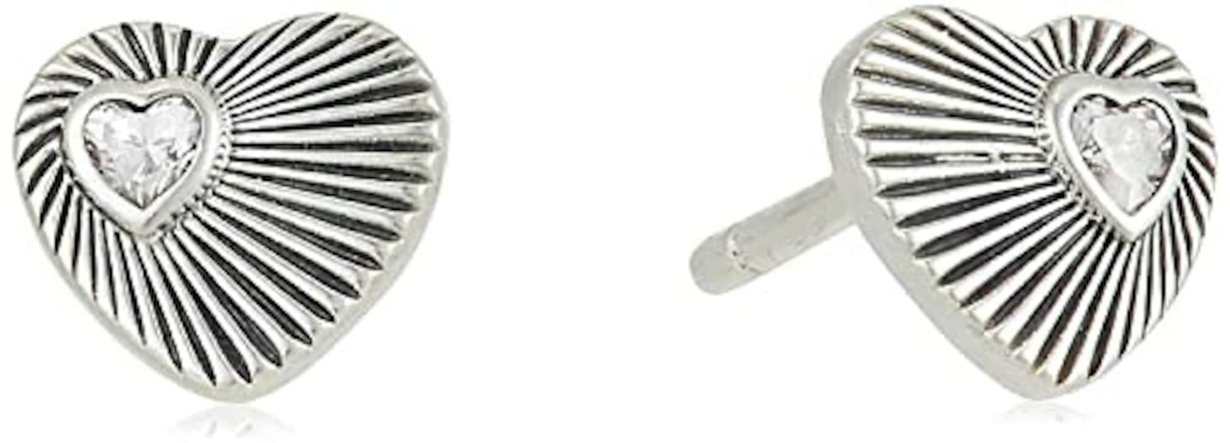 Pandora Earrings in Silver: front