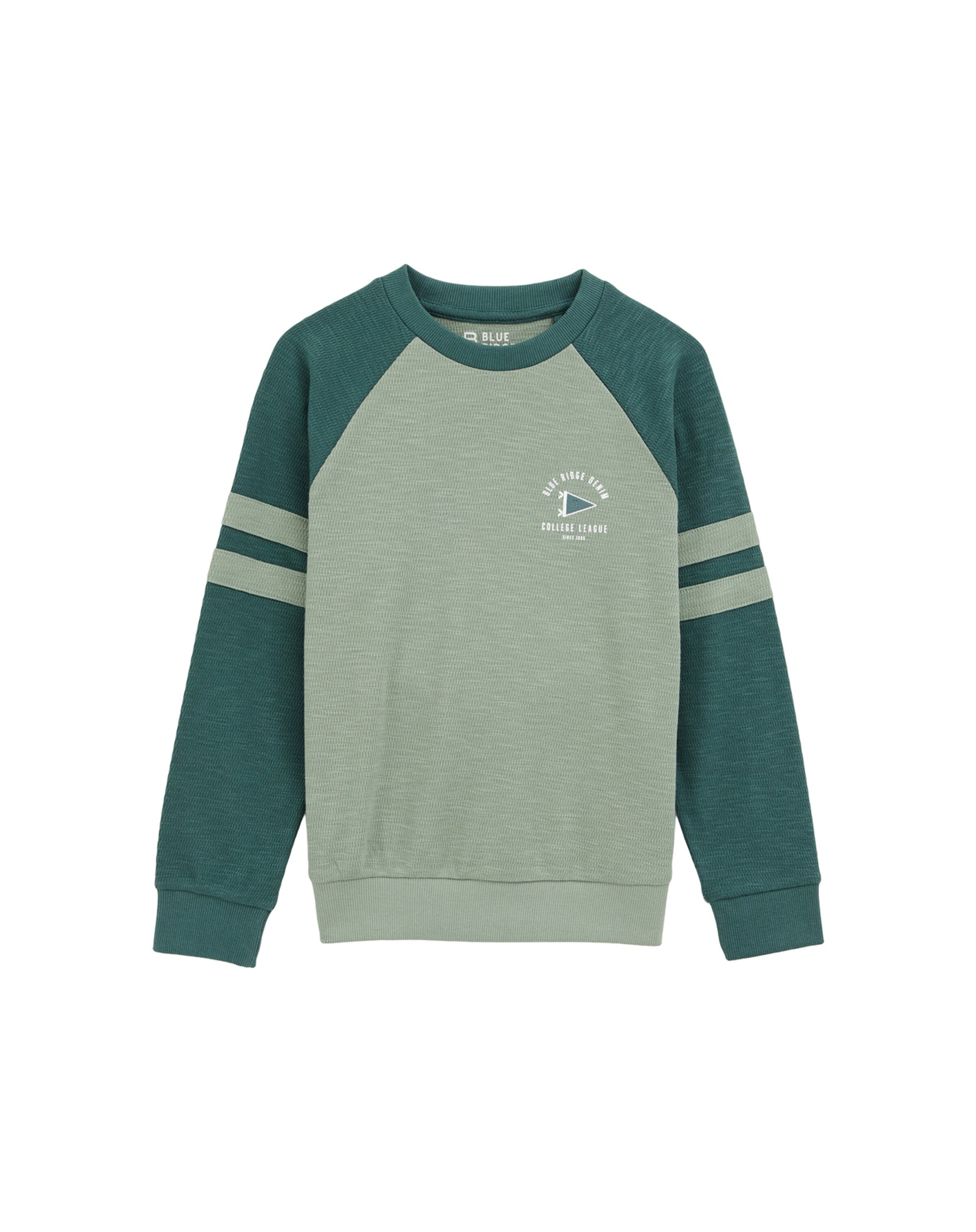 WE Fashion Majica | zelena barva: sprednja stran