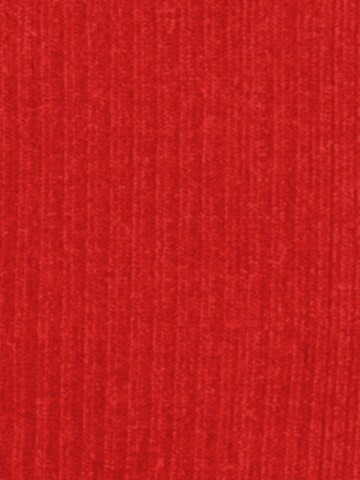 DillySocks Sokken in Gemengde kleuren
