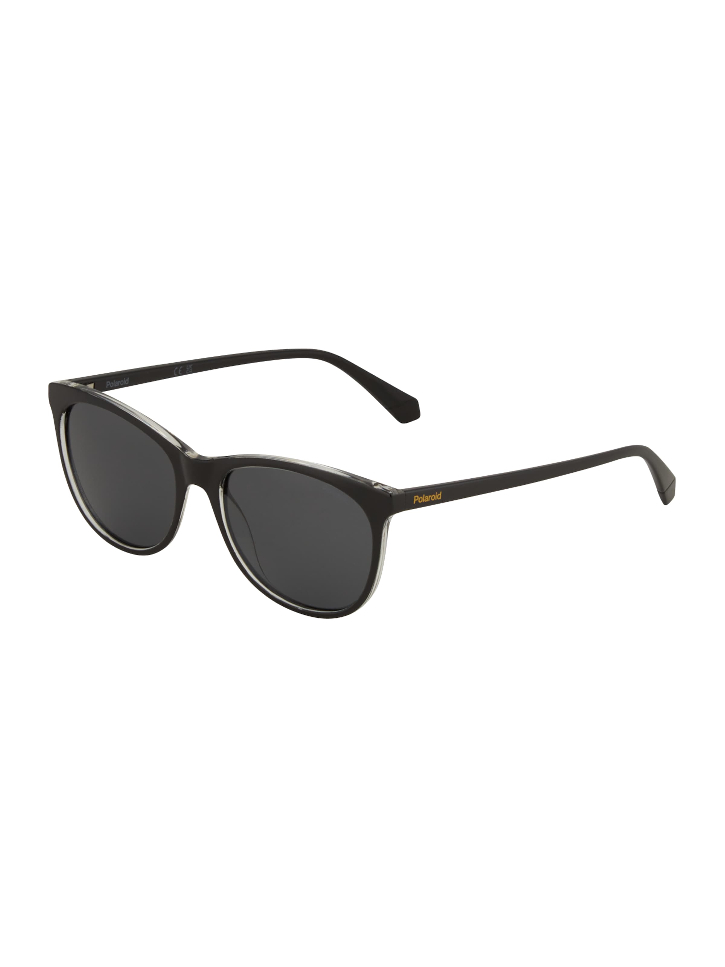 Polaroid Sunglasses in Black: front