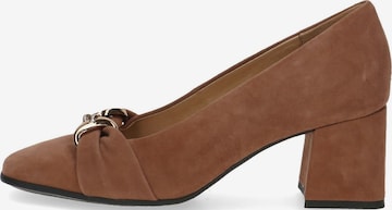 CAPRICE Pumps in Brown