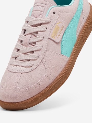 PUMA Sneaker 'Palermo' in Flieder ABOUT YOU - Main Image