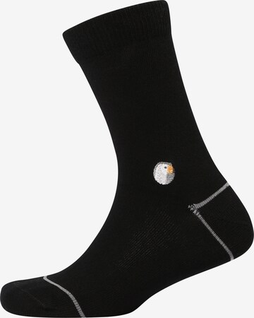 Sokid Socks in Black