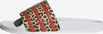 ADIDAS ORIGINALS Pantofle 'Adilette' – mix barev: přední strana