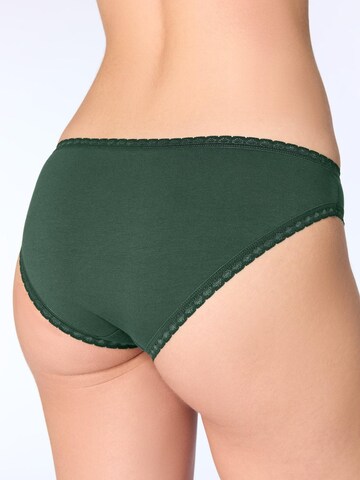 Albero Natur Panty 'Bio-Baumwoll-Slip mit Spitze – 3er Pack' in Green