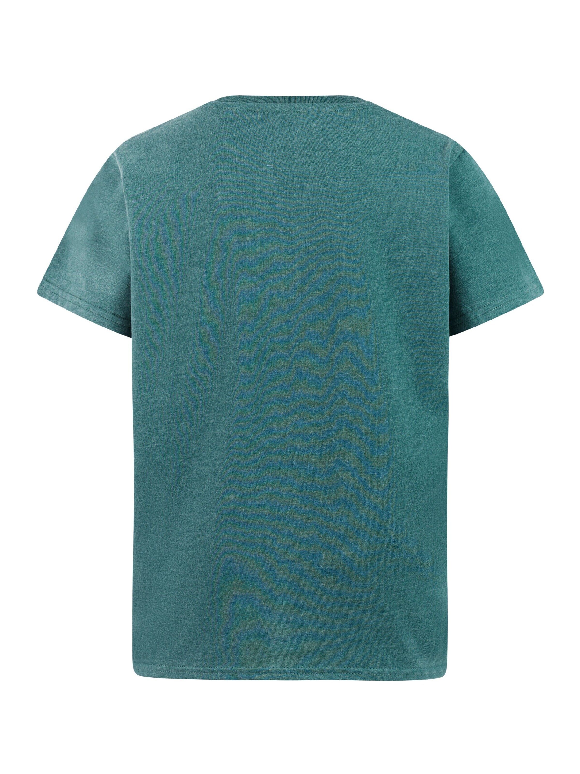 PROTEST Shirt 'PRTHunt JR' in Green