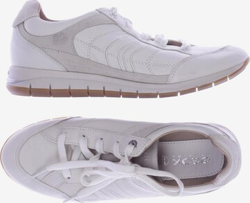 GEOX Sneakers & Trainers in 38 in White: front