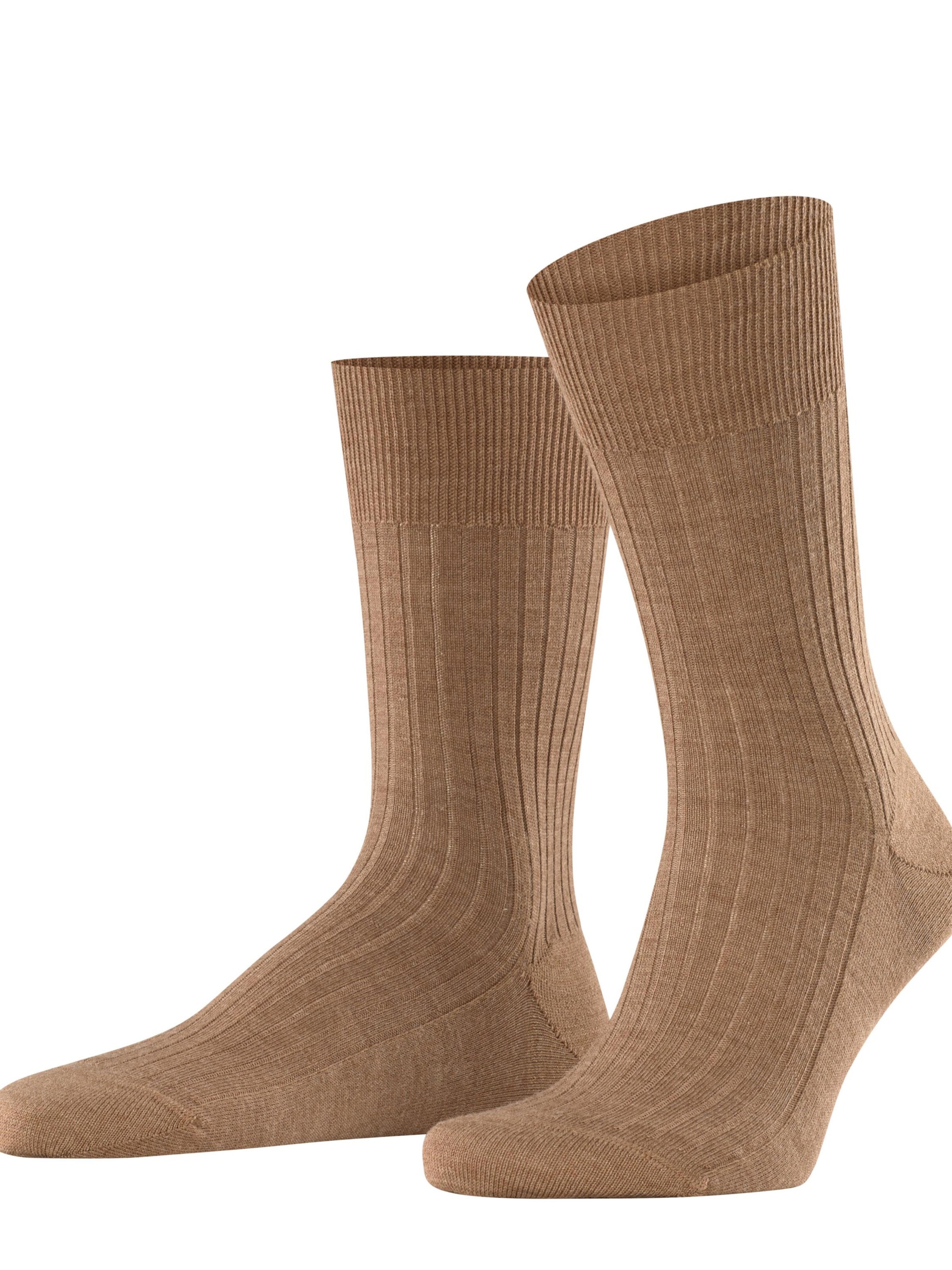 FALKE Socks 'Bristol Pure' in Brown: front