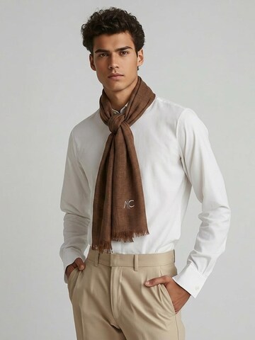 alberto cabale Scarf 'Everydays' in Brown: front